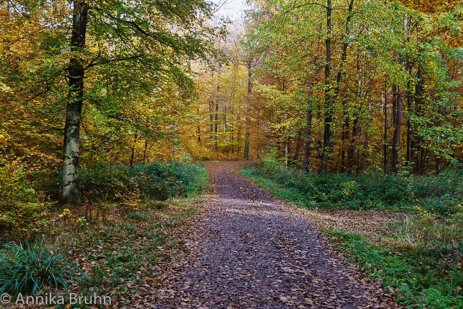 Auf in den Herbst